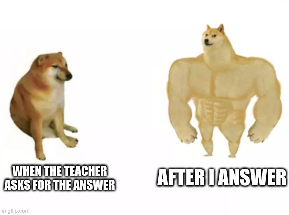 buff doge vs cheems reversed | WHEN THE TEACHER ASKS FOR THE ANSWER; AFTER I ANSWER | image tagged in buff doge vs cheems,school,funny,memes,relatable,sad | made w/ Imgflip meme maker