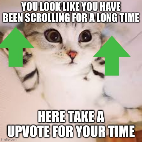 YOU LOOK LIKE YOU HAVE BEEN SCROLLING FOR A LONG TIME; HERE TAKE A UPVOTE FOR YOUR TIME | image tagged in kitty | made w/ Imgflip meme maker