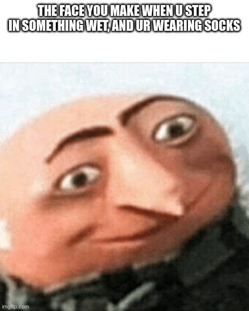 gru | THE FACE YOU MAKE WHEN U STEP IN SOMETHING WET, AND UR WEARING SOCKS | image tagged in gru | made w/ Imgflip meme maker