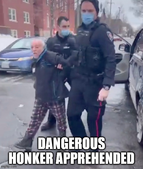 Honking is a real threat to totalitarianism | DANGEROUS HONKER APPREHENDED | image tagged in honk,canada,idiocy | made w/ Imgflip meme maker