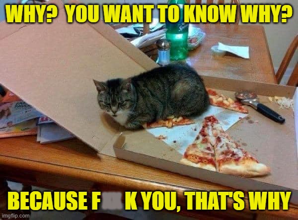 Cats are A-holes | WHY?  YOU WANT TO KNOW WHY? BECAUSE F      K YOU, THAT'S WHY; XX | image tagged in cats are assholes,cats,memes | made w/ Imgflip meme maker