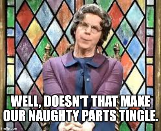 WELL, DOESN'T THAT MAKE OUR NAUGHTY PARTS TINGLE. | made w/ Imgflip meme maker