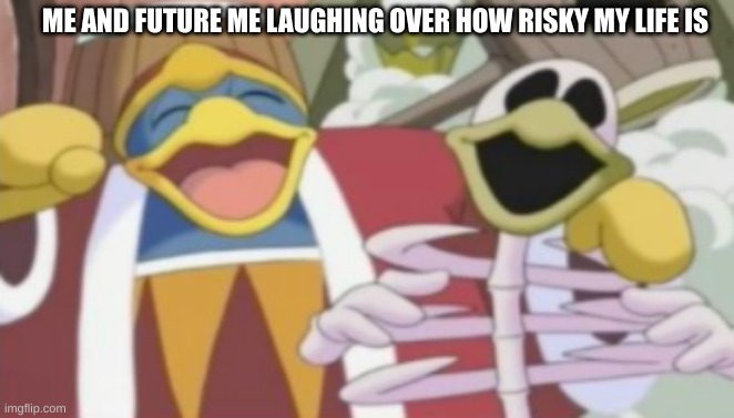 yes | ME AND FUTURE ME LAUGHING OVER HOW RISKY MY LIFE IS | image tagged in king dedede | made w/ Imgflip meme maker