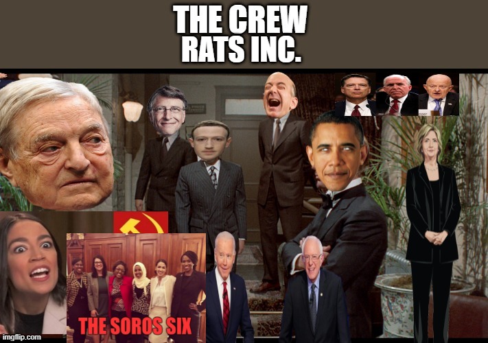 NWO RATS | RATS INC. | image tagged in the truth | made w/ Imgflip meme maker