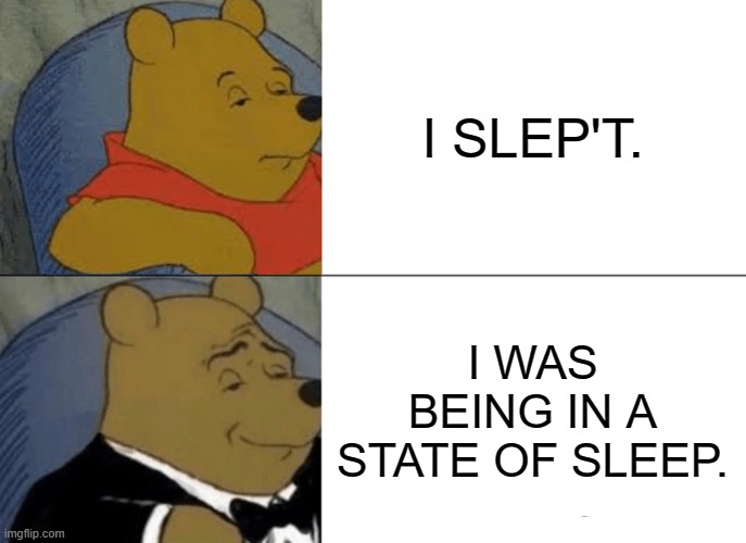 No, i was being in a state of sleep. | I SLEP'T. I WAS BEING IN A STATE OF SLEEP. | image tagged in memes,tuxedo winnie the pooh | made w/ Imgflip meme maker
