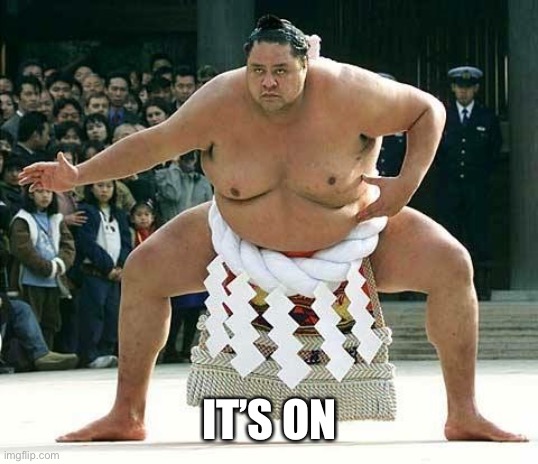 Sumo  | IT’S ON | image tagged in sumo | made w/ Imgflip meme maker