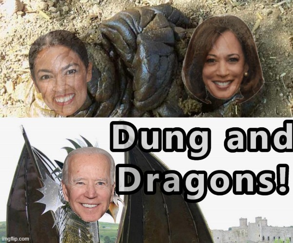 Dungeons & Dragons of DC | image tagged in dungeons dragons of dc | made w/ Imgflip meme maker