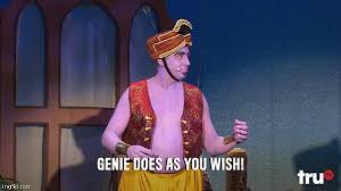 Genie does as you wish | image tagged in genie does as you wish | made w/ Imgflip meme maker