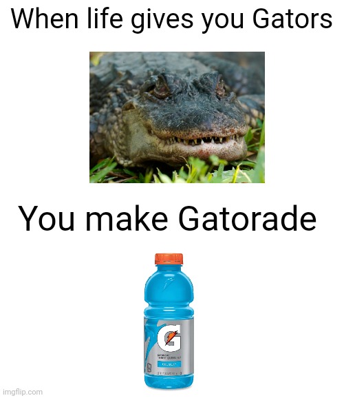 Yummy | When life gives you Gators; You make Gatorade | image tagged in blank white template | made w/ Imgflip meme maker