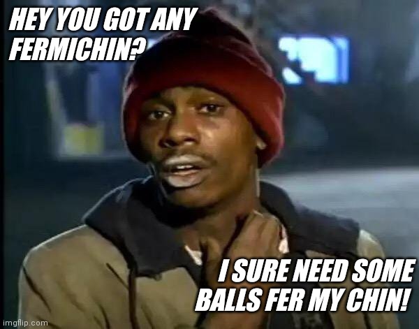 Y'all Got Any More Of That | HEY YOU GOT ANY
FERMICHIN? I SURE NEED SOME BALLS FER MY CHIN! | image tagged in memes,y'all got any more of that | made w/ Imgflip meme maker