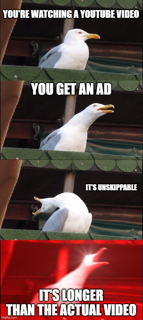 Youtube be like | YOU'RE WATCHING A YOUTUBE VIDEO; YOU GET AN AD; IT'S UNSKIPPABLE; IT'S LONGER THAN THE ACTUAL VIDEO | image tagged in memes,inhaling seagull | made w/ Imgflip meme maker