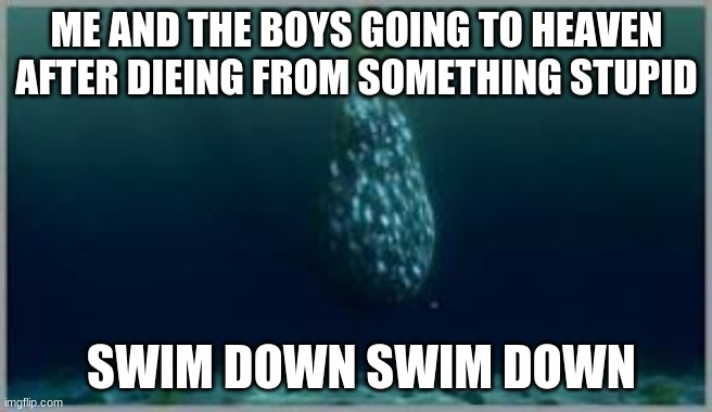 me and the brows | ME AND THE BOYS GOING TO HEAVEN AFTER DIEING FROM SOMETHING STUPID; SWIM DOWN SWIM DOWN | image tagged in funny,me and the boys | made w/ Imgflip meme maker