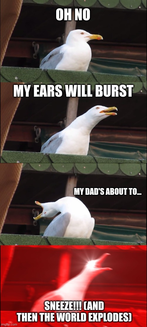 Inhaling Seagull | OH NO; MY EARS WILL BURST; MY DAD'S ABOUT TO... SNEEZE!!! (AND THEN THE WORLD EXPLODES) | image tagged in memes,inhaling seagull | made w/ Imgflip meme maker