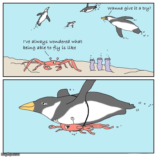 Flying | image tagged in flying,fly,comics/cartoons,comics,comic,penguins | made w/ Imgflip meme maker