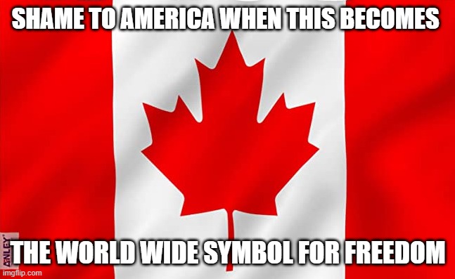 SHAME TO AMERICA WHEN THIS BECOMES; THE WORLD WIDE SYMBOL FOR FREEDOM | image tagged in freedom | made w/ Imgflip meme maker