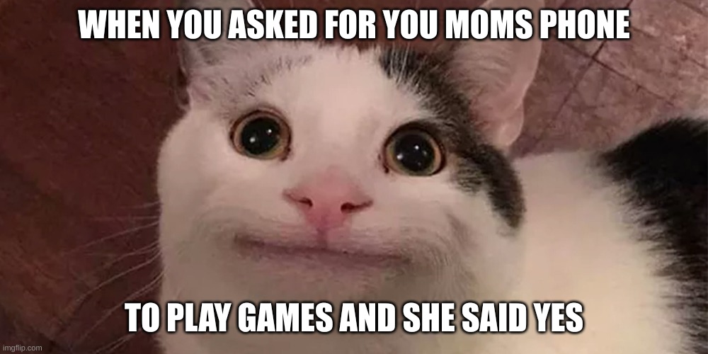 Beluga | WHEN YOU ASKED FOR YOU MOMS PHONE; TO PLAY GAMES AND SHE SAID YES | image tagged in beluga | made w/ Imgflip meme maker