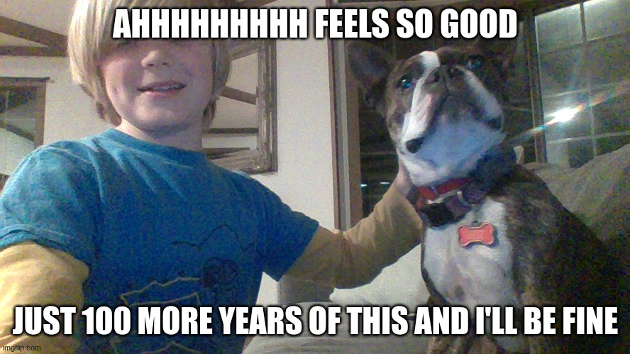 AHHHHHHHHH FEELS SO GOOD; JUST 100 MORE YEARS OF THIS AND I'LL BE FINE | image tagged in my dog,cute | made w/ Imgflip meme maker