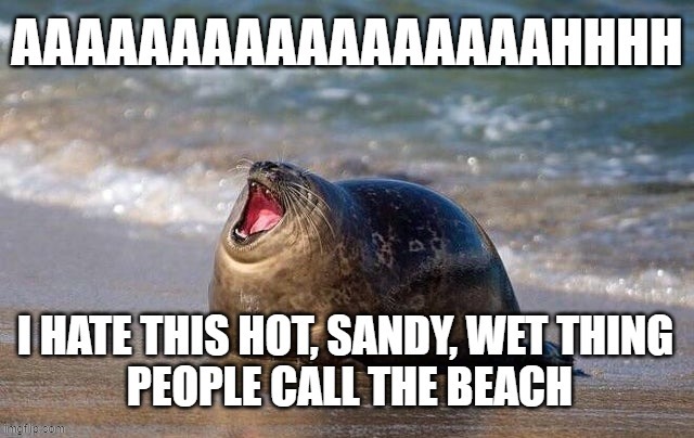 image tagged in memes,funny memes,day at the beach,unhappy | made w/ Imgflip meme maker
