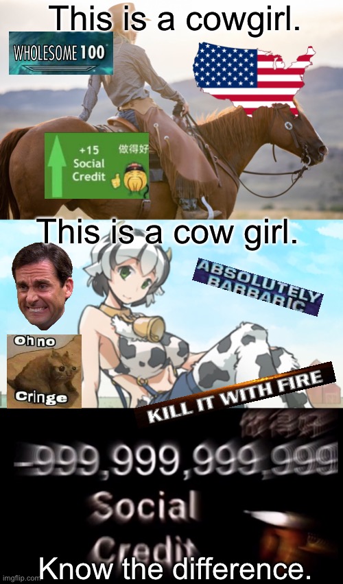 know the difference | This is a cowgirl. This is a cow girl. Know the difference. | image tagged in -999 999 999 999 social credit | made w/ Imgflip meme maker
