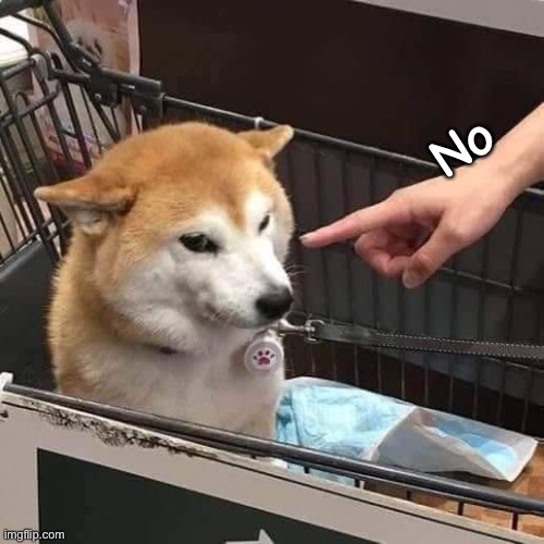 No horny | No | image tagged in no horny | made w/ Imgflip meme maker
