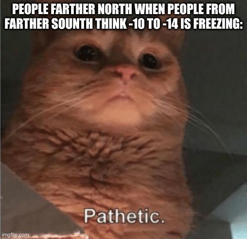 E | PEOPLE FARTHER NORTH WHEN PEOPLE FROM FARTHER SOUNTH THINK -10 TO -14 IS FREEZING: | image tagged in pathetic cat,relatable,memes | made w/ Imgflip meme maker