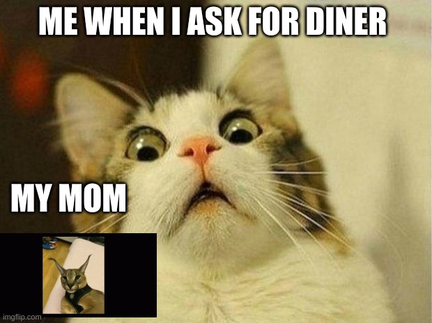 Scared Cat Meme | ME WHEN I ASK FOR DINER; MY MOM | image tagged in memes,scared cat | made w/ Imgflip meme maker