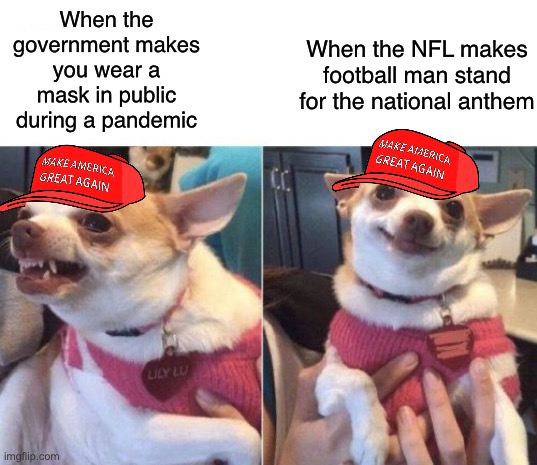 You have to worship this country and pretend to be against authoritarianism at the same time | When the NFL makes football man stand for the national anthem; When the government makes you wear a mask in public during a pandemic | image tagged in angry chihuahua happy chihuahua,trump supporters,colin kaepernick,nfl,tyranny,conservative logic | made w/ Imgflip meme maker