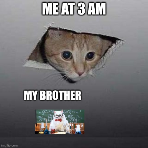 Ceiling Cat | ME AT 3 AM; MY BROTHER | image tagged in memes,ceiling cat | made w/ Imgflip meme maker