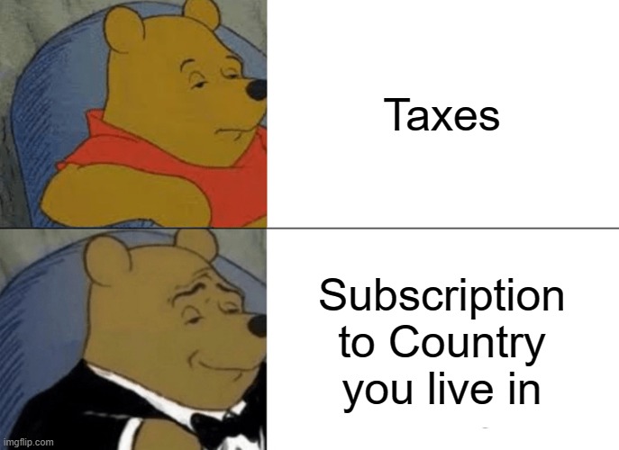 Tuxedo Winnie The Pooh | Taxes; Subscription to Country you live in | image tagged in memes,tuxedo winnie the pooh | made w/ Imgflip meme maker