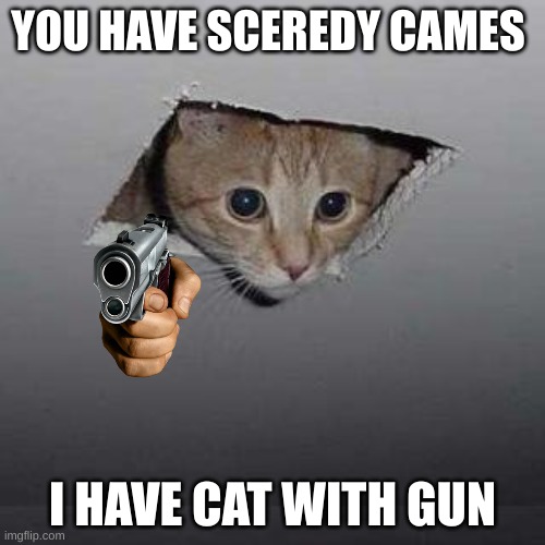 Ceiling Cat | YOU HAVE SCEREDY CAMES; I HAVE CAT WITH GUN | image tagged in memes,ceiling cat | made w/ Imgflip meme maker