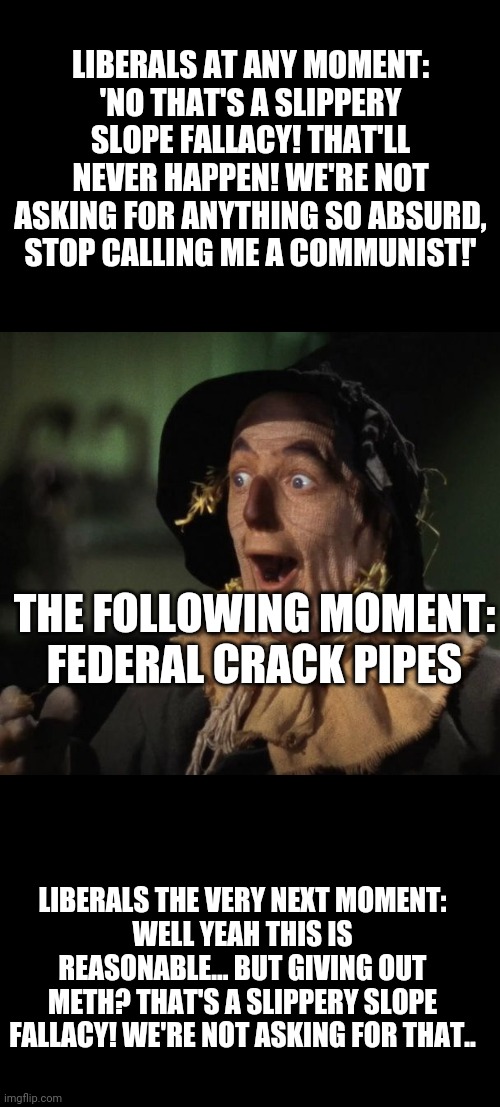 That awkward moment when you're a communist but you just think you're a liberal. | LIBERALS AT ANY MOMENT:
'NO THAT'S A SLIPPERY SLOPE FALLACY! THAT'LL NEVER HAPPEN! WE'RE NOT ASKING FOR ANYTHING SO ABSURD, STOP CALLING ME A COMMUNIST!'; THE FOLLOWING MOMENT:
FEDERAL CRACK PIPES; LIBERALS THE VERY NEXT MOMENT:
WELL YEAH THIS IS REASONABLE... BUT GIVING OUT METH? THAT'S A SLIPPERY SLOPE FALLACY! WE'RE NOT ASKING FOR THAT.. | image tagged in straw man - what a great idea | made w/ Imgflip meme maker