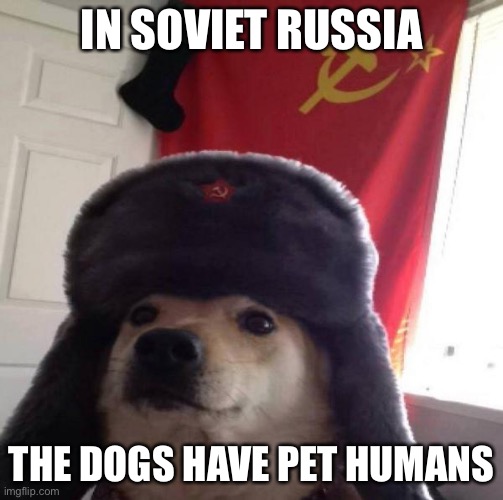 Russian Doge |  IN SOVIET RUSSIA; THE DOGS HAVE PET HUMANS | image tagged in russian doge | made w/ Imgflip meme maker