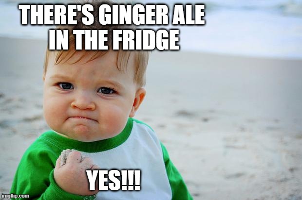 Ginger Ale |  THERE'S GINGER ALE
 IN THE FRIDGE; YES!!! | image tagged in baby fist pump | made w/ Imgflip meme maker