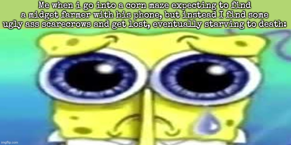 Sad Spong | Me when i go into a corn maze expecting to find a midget farmer with his phone, but instead I find some ugly ass scarecrows and get lost, eventually starving to death: | image tagged in sad spong | made w/ Imgflip meme maker