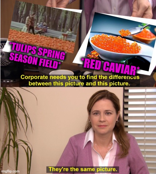 -Red cloth. | *TULIPS SPRING SEASON FIELD*; *RED CAVIAR* | image tagged in memes,they're the same picture,gone fishing,tulips,springtime,field of dreams | made w/ Imgflip meme maker