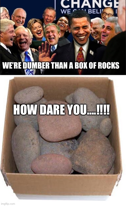 Rocks have some uses. | WE’RE DUMBER THAN A BOX OF ROCKS; HOW DARE YOU….!!!! | image tagged in politicians laughing,box of rocks | made w/ Imgflip meme maker