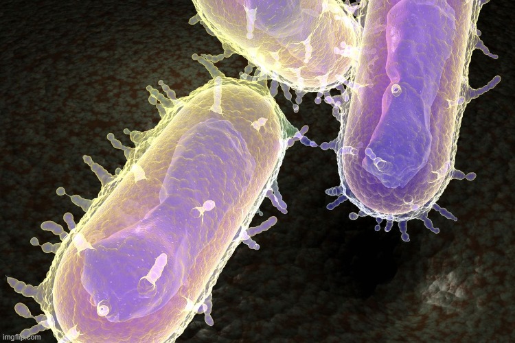 Face reveal | made w/ Imgflip meme maker