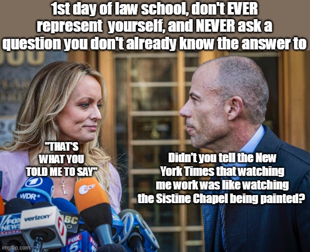5 hour cross exam of "That Stupid Trollop" could net him 22 years | 1st day of law school, don't EVER represent  yourself, and NEVER ask a question you don't already know the answer to; "THAT'S WHAT YOU TOLD ME TO SAY"; Didn’t you tell the New York Times that watching me work was like watching the Sistine Chapel being painted? | image tagged in memes | made w/ Imgflip meme maker