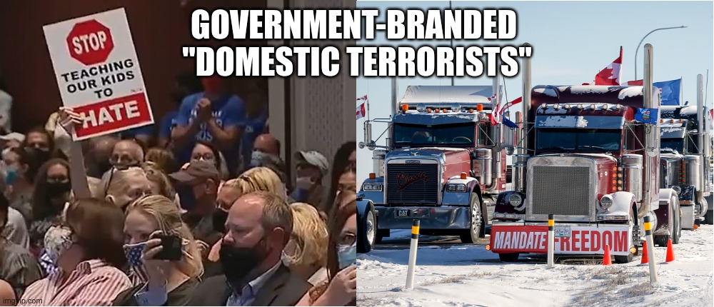 domestic terrorists | GOVERNMENT-BRANDED 
"DOMESTIC TERRORISTS" | image tagged in trucker,terrorist,parents | made w/ Imgflip meme maker