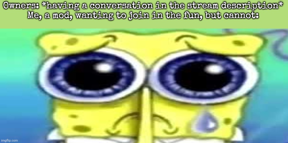 Sad Spong | Owners: *having a conversation in the stream description*
Me, a mod, wanting to join in the fun, but cannot: | image tagged in sad spong | made w/ Imgflip meme maker