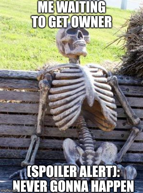Waiting Skeleton | ME WAITING TO GET OWNER; (SPOILER ALERT): NEVER GONNA HAPPEN | image tagged in memes,waiting skeleton | made w/ Imgflip meme maker