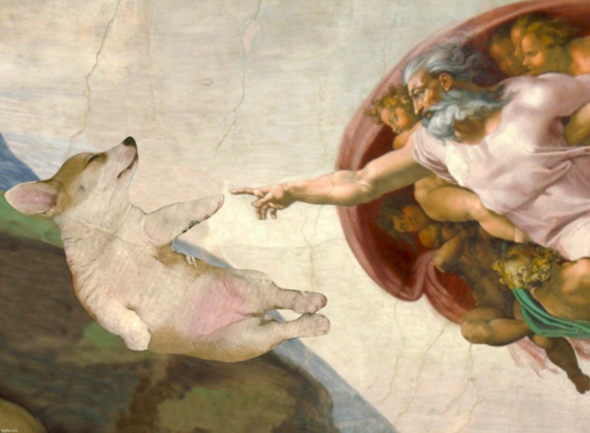 God touches Corgi | image tagged in god touches corgi | made w/ Imgflip meme maker