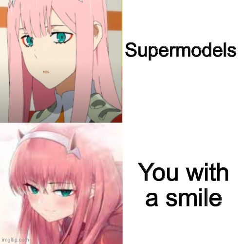 Hawt | Supermodels; You with a smile | image tagged in zerotwo drake hotline bling,wholesome | made w/ Imgflip meme maker