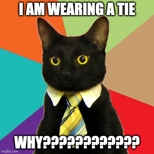 Tie | I AM WEARING A TIE; WHY???????????? | image tagged in memes,business cat,cat | made w/ Imgflip meme maker