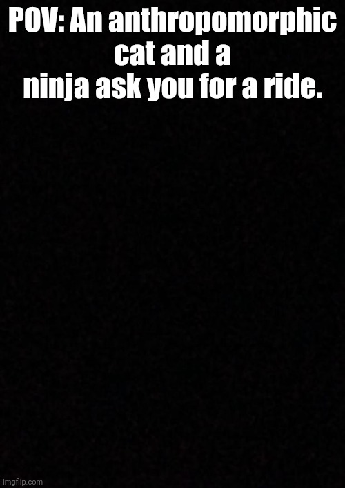 I don't know how to spell anthrophomorfic, but at least autocorrect exists | POV: An anthropomorphic cat and a ninja ask you for a ride. | image tagged in blank,rp | made w/ Imgflip meme maker
