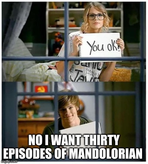 Taylor Swift You Ok | NO I WANT THIRTY EPISODES OF MANDOLORIAN | image tagged in taylor swift you ok | made w/ Imgflip meme maker