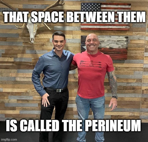 THAT SPACE BETWEEN THEM; IS CALLED THE PERINEUM | image tagged in joe rogan,ben shapiro | made w/ Imgflip meme maker