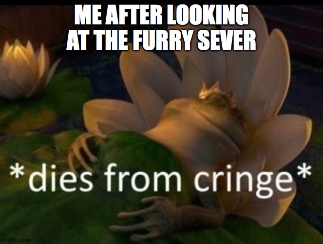 buy anti furry bonds | ME AFTER LOOKING AT THE FURRY SEVER | image tagged in dies of cringe | made w/ Imgflip meme maker