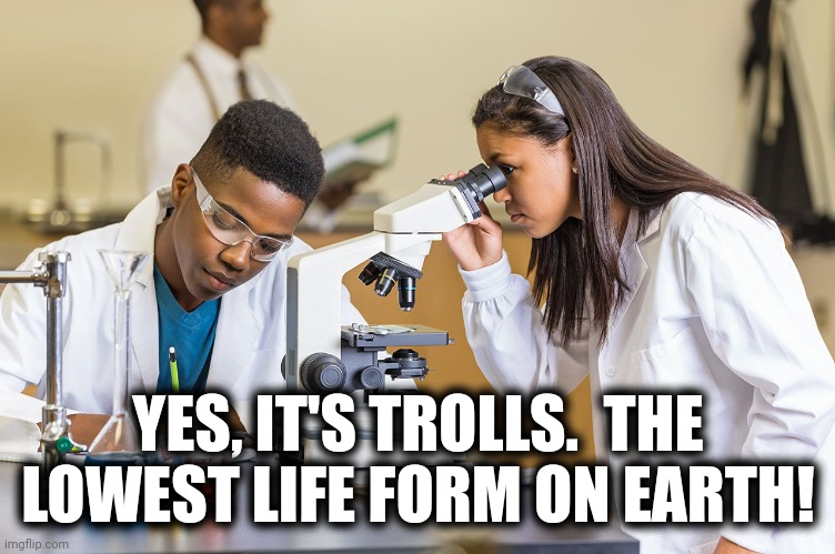 YES, IT'S TROLLS.  THE LOWEST LIFE FORM ON EARTH! | made w/ Imgflip meme maker