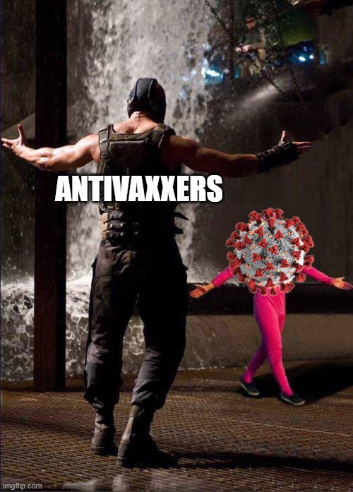 Learning the hard way |  ANTIVAXXERS | image tagged in pink guy vs bane,memes,coronavirus,antivax | made w/ Imgflip meme maker